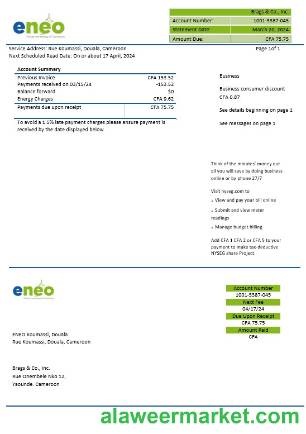 Cameroon ENEO electricity business utility bill template in Word and Pdf formats
